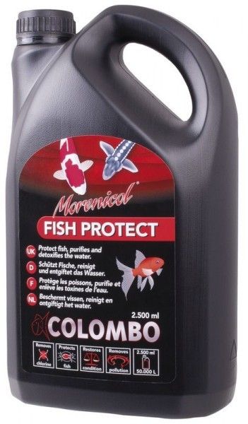 Colombo fish protect Morenicol.